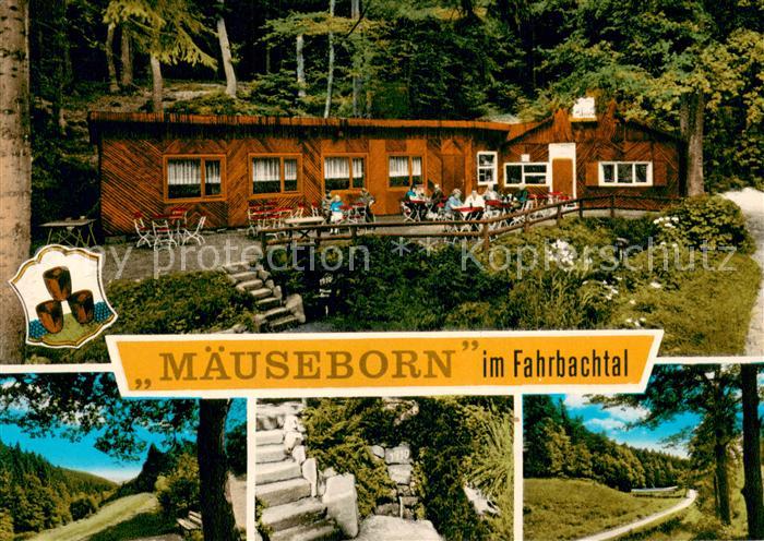 Grossalmerode Rasthaus Waldschloesschen am Maeuseborn Teilansichten