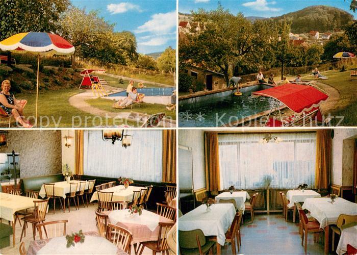 Gadernheim Pension Metzgerei Erbacher Hof Liegewiese Pool Gastraeume