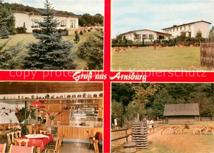 Arnsburg Hessen Gasthaus Pension Zum Klosterwald Gaststube Wildgehege