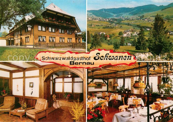 Oberlehen Schwarzwaldgasthof Schwanen Panorama