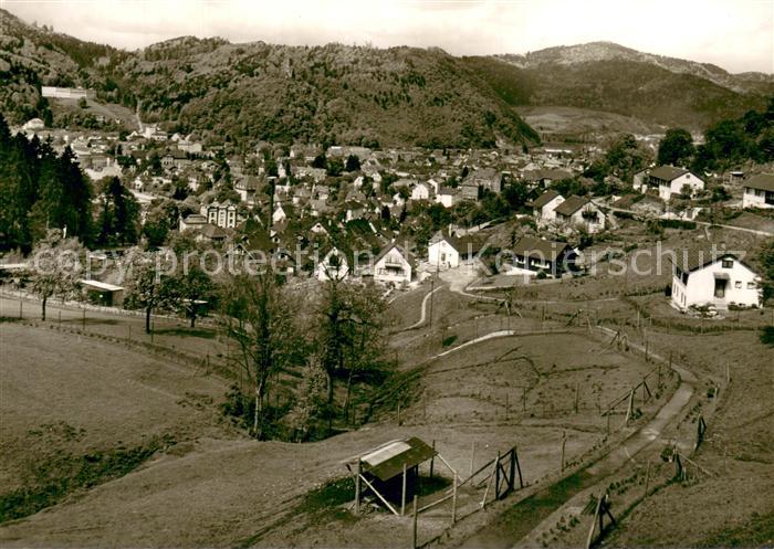 Waldkirch Breisgau Panorama Schwarzwald