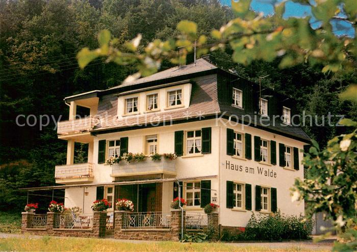 Brodenbach Pension Haus am Walde