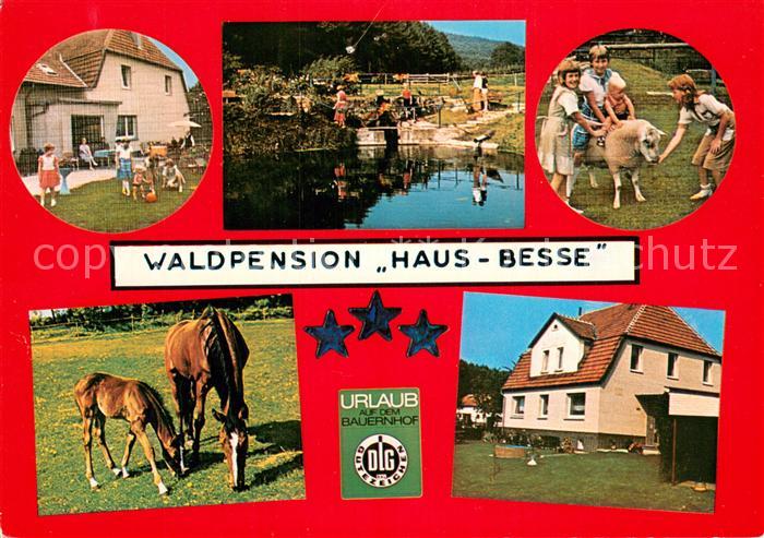 Scherfede Waldpension Haus Besse Schafe Pferde Urlaub auf dem Bauernhof Fischtei