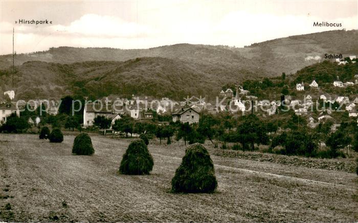Alsbach Bergstrasse Teilansicht m. Hirschpark SchlossMelicobus
