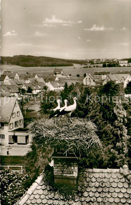 Bad Duerrheim Storchennest