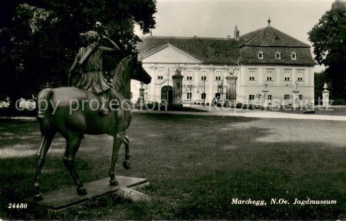 Marchegg Niederoesterreich Jagdmuseum