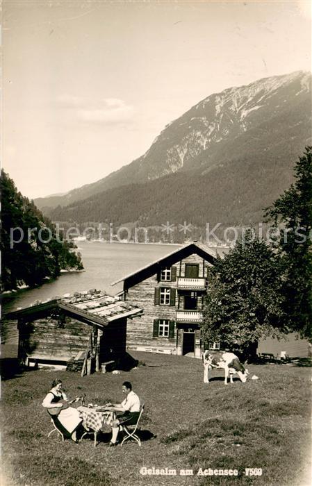 Achensee Gelsalm m. Achensee