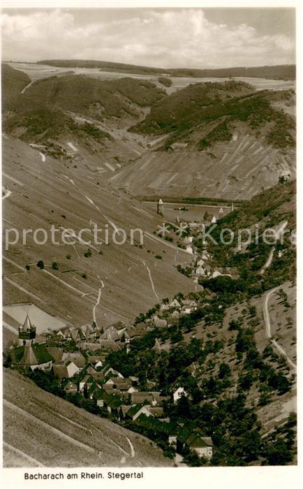 Bacharach Rhein Stegertal