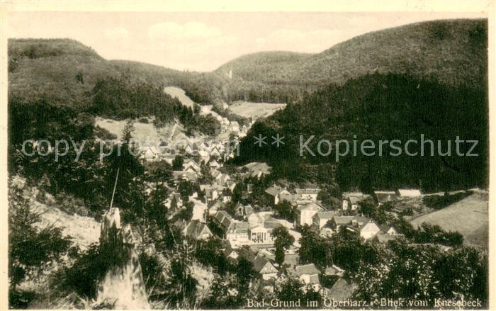 Bad Grund Gesamtansicht