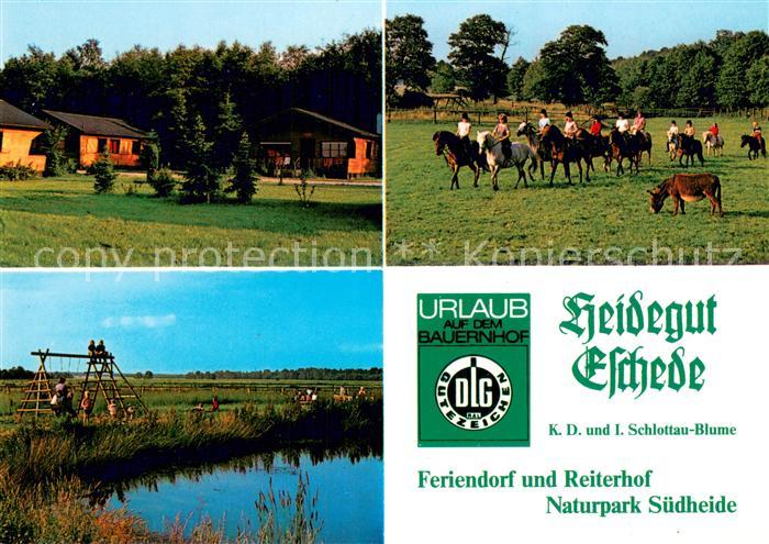 Eschede Heidegut Eschede Teilasnichten m. Pferden