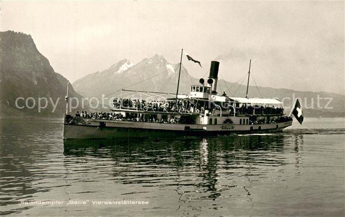 Dampfer Seitenrad Salondampfer Gallia Vierwaldstaettersee