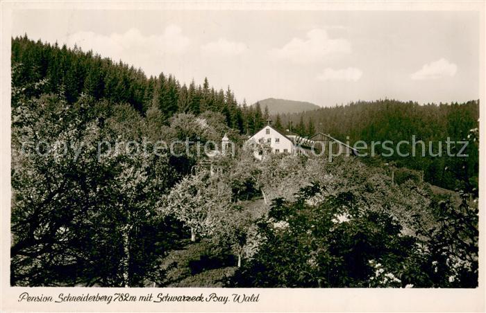 Lohberg Lam Pension Schneiderberg mit Schwarzeck Bayerischer Wald