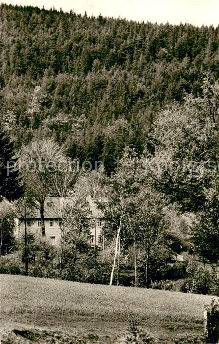 Weissenstadt Gasthof Pension Zigeunermuehle
