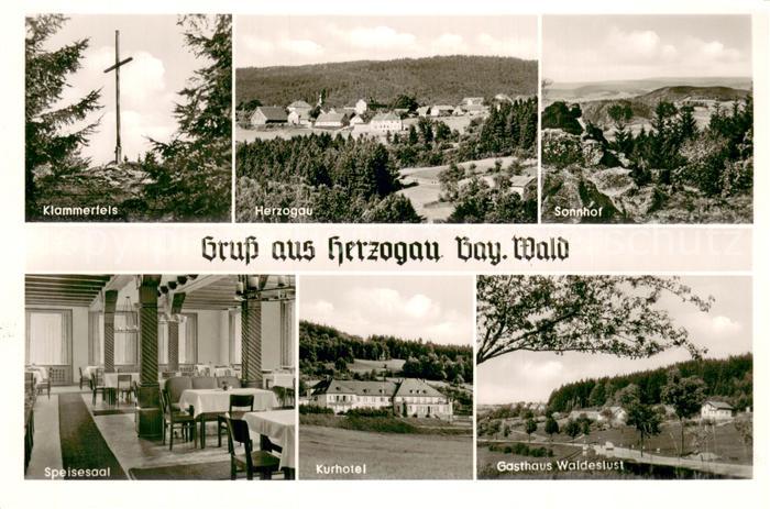 Herzogau Waldmuenchen Klammerfels Herzogau Sonnhof Speisesaal Kurhotel Gasthaus