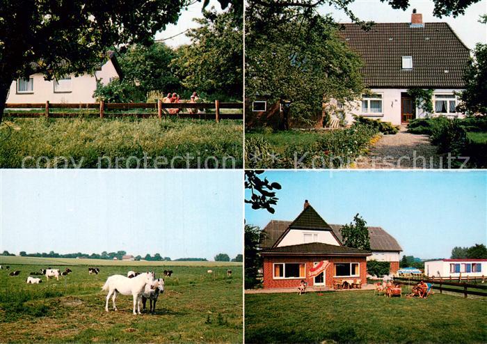 Hasselburg Altenkrempe Urlaub auf dem Bauernhof Ferienhof Meier Pferdekoppel Wie
