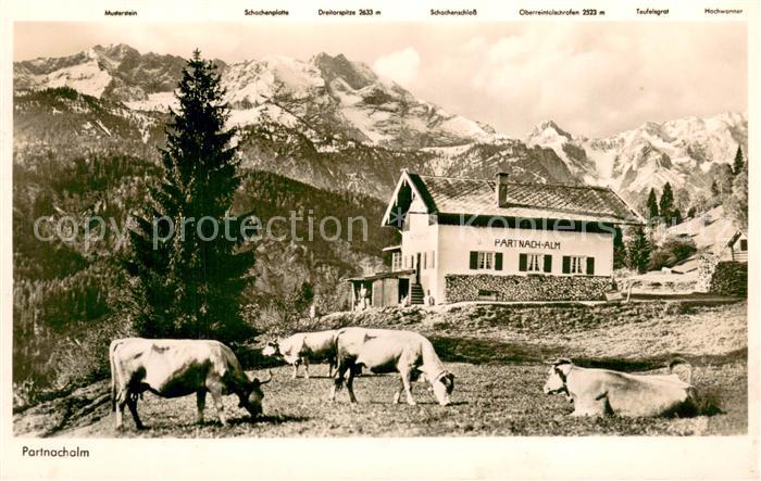 Partnachalm Garmisch Panorama