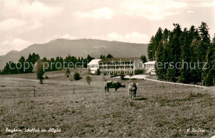 Lindenberg Allgaeu Bergheim Scheffau