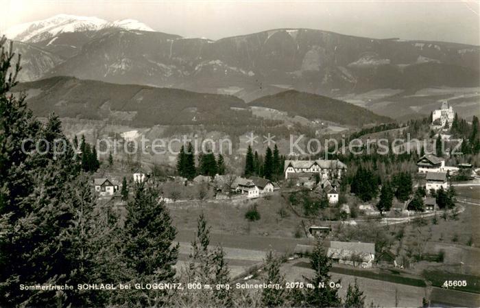 Schlagl Gloggnitz Niederoesterreich Panorama mit Schneeberg