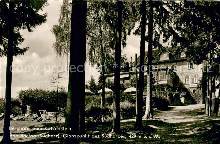 Bad Sachsa Harz Berghotel zum Katzenstein