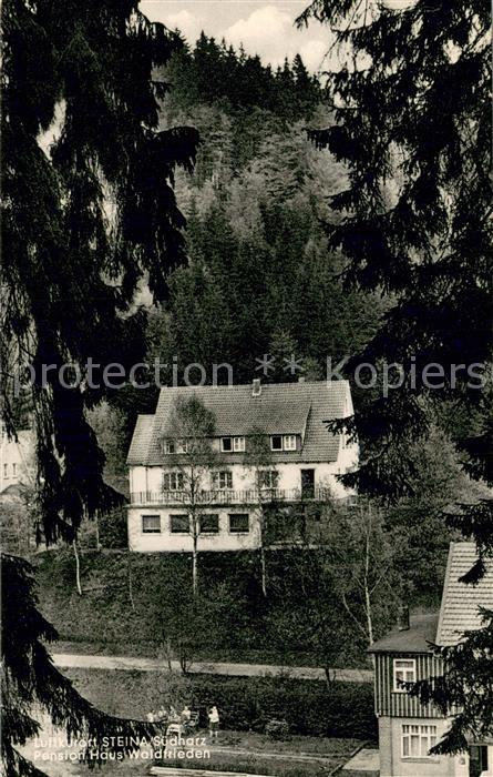 Steina Suedharz Pension Haus Waldfrieden