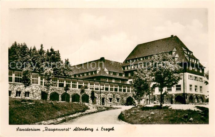 Altenberg Erzgebirge Sanatorium Raupennest