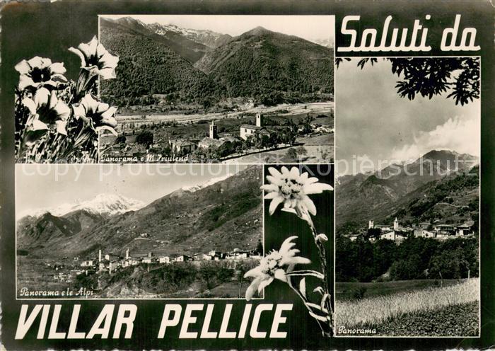 Villar Pellice IT Panorama e M Jriulend Le Alpi Panorama