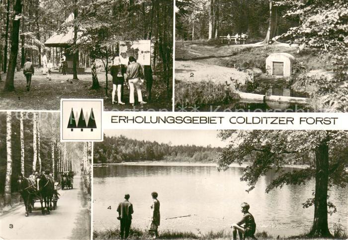 Colditz Erholungsgebiet Colditzer Forst Parkplatz-Pilz Birkenallee Parthequelle