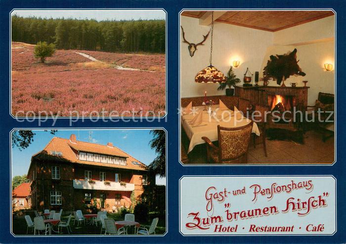 Nindorf Nordheide Gasthaus-Pension Zum braunen Hirsch Teilansichten m. Heide