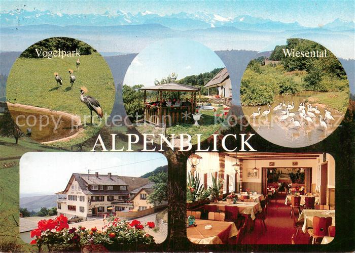 Endenburg Berggasthof Cafe Pension Alpenblick Vogelpark Wiesental Gastraum