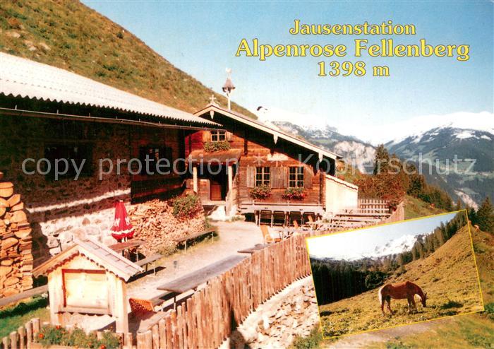 Mayrhofen Zillertal Alpenrose Fellenberg