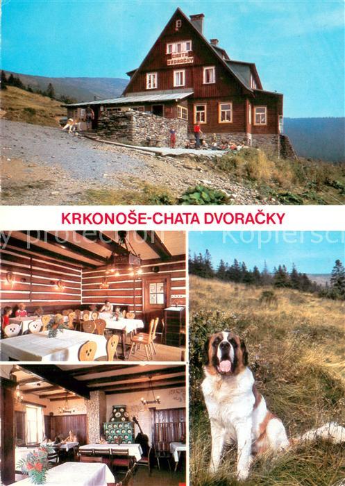 Rokytnice nad Jizerou Rochlitz Iser Riesengebirge CZ Chata Dvoracky Gastraeume B
