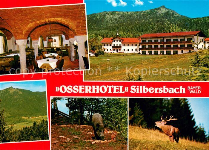 Silbersbach Osserhotel Restaurant Wildschwein Hirsch Landschaftspanorama