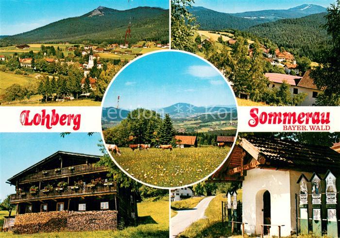 Sommerau Lohberg Panorama Bayerischer Wald