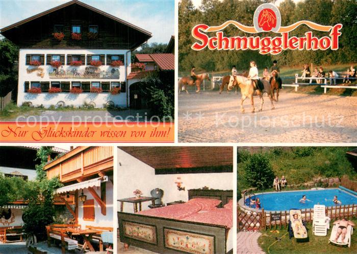 Harschetsreuth Wald Schmugglerhof Gaestehaus Pension Reitstall Swimming Pool
