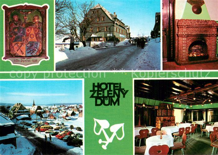 Bozi Dar Gottesgab CZ Hotel Zeleny dum Kaminzimmer Gastraum Panorama
