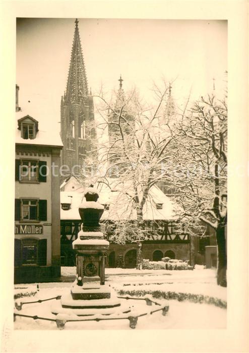 Freiburg Breisgau Brunnen Stadtzentrum Muenster im Winter