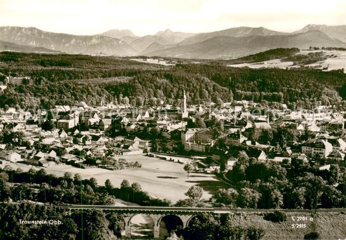 Traunstein Oberbayern Gesamtansicht mit Alpenpanorama