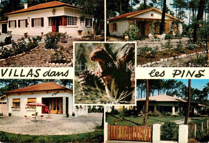 Hossegor Soorts Landes Villas dans les pins