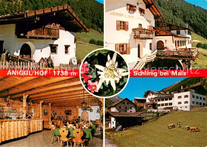 Schlinig Mals Suedtirol Aniggl Hof Gastraum Pferdekoppel Edelweiss