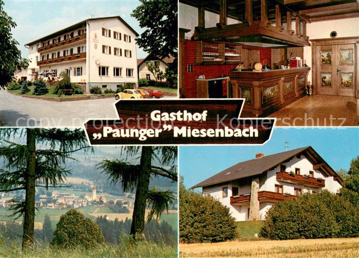 Miesenbach Birkfeld Gasthof Zum goldenen Hirschen
