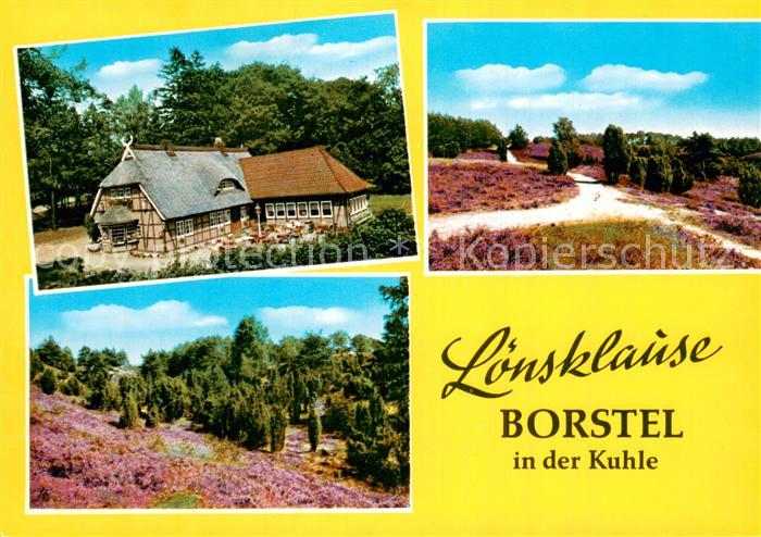 Borstel Bispingen Loensklause Heidelandschaft