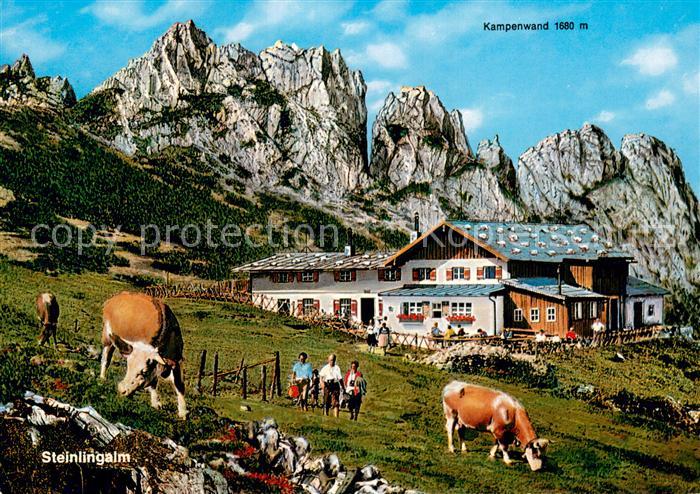 Aschau Chiemgau Steinlingalm an der Kampenwand Chiemgauer Alpen Almvieh