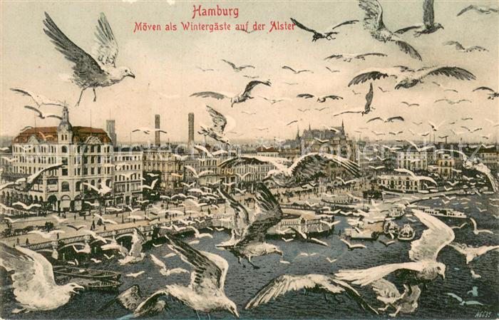 HAMBURG  CITY Moeven als Wintergaeste auf der Alster