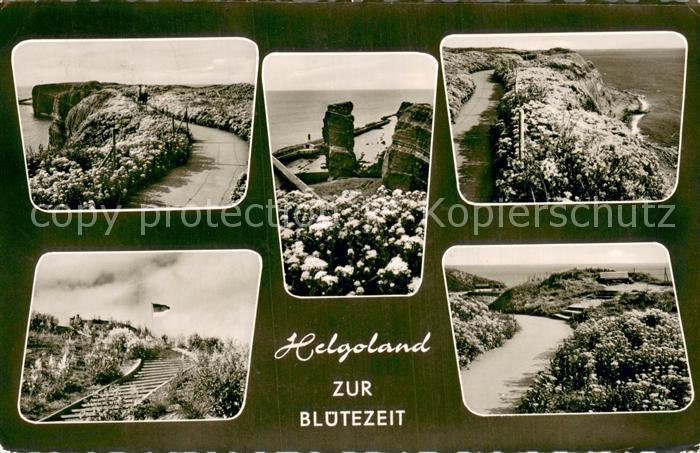 HELGOLAND Insel Schleswig-Holstein zur Bluetezeit Teilansichten