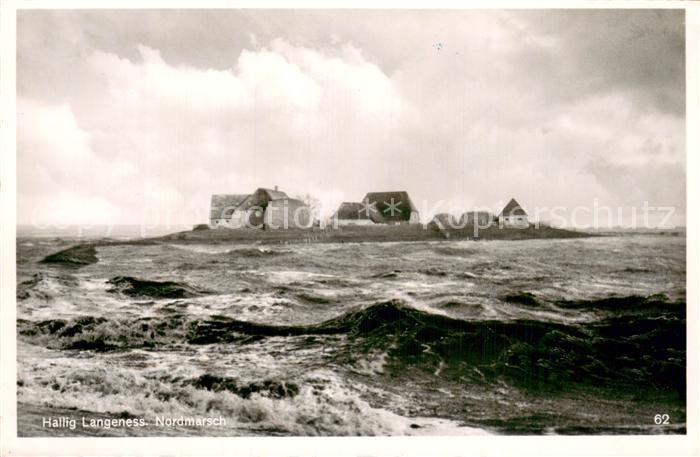 Hallig Langeness Nordmarsch