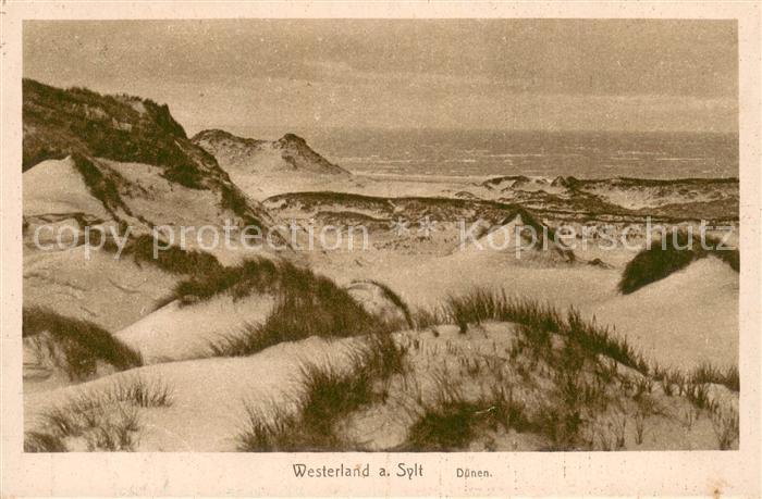Westerland Sylt Duenen