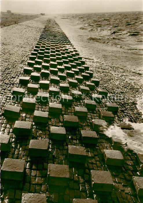 Eckwarden Nordseekueste Kuestenbefestigung