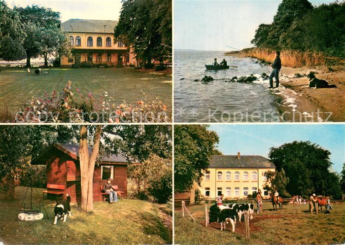 Geel Brodersby Ferienhof Christian Schmidt Strand Angler Blockhaus Pferdekoppel