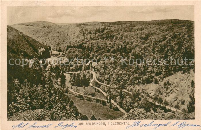 Bad Wildungen Helenental Panorama