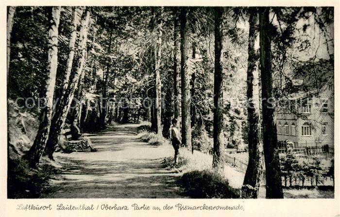 Lautenthal Harz Partie an der Bismarckpromenade